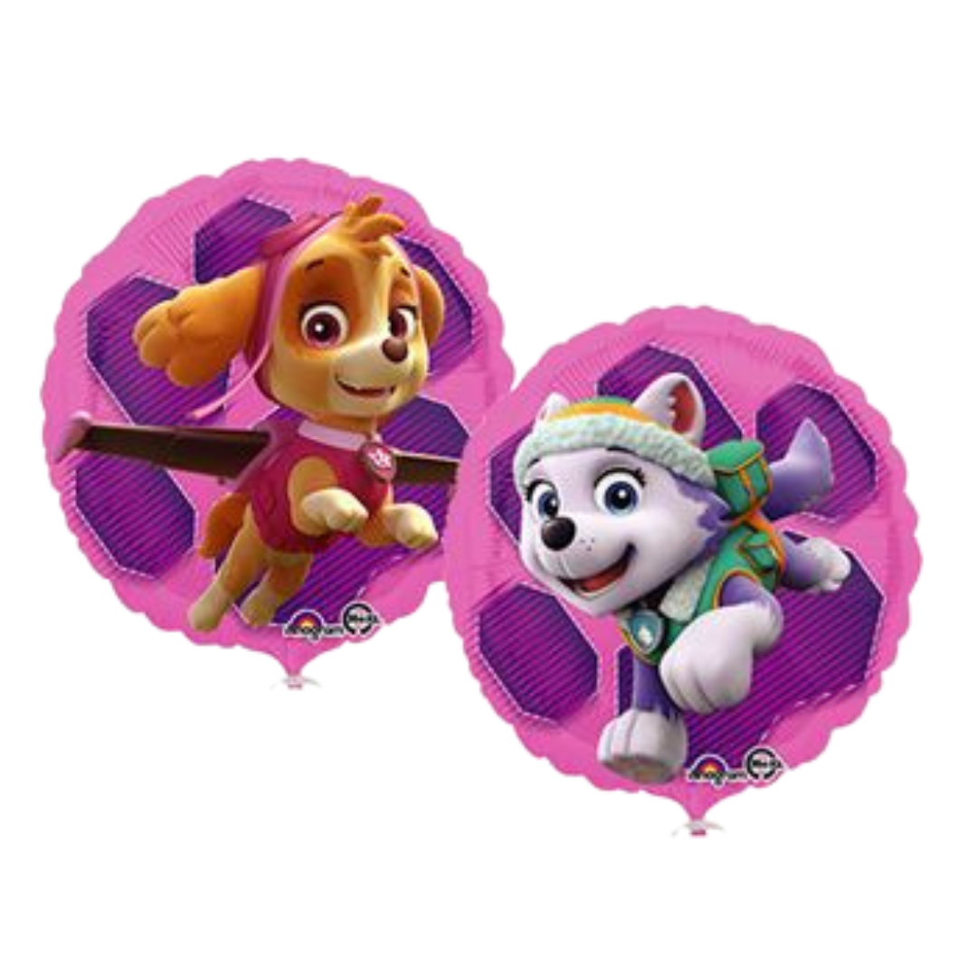 18C PAW PATROL SKYE & EVEREST