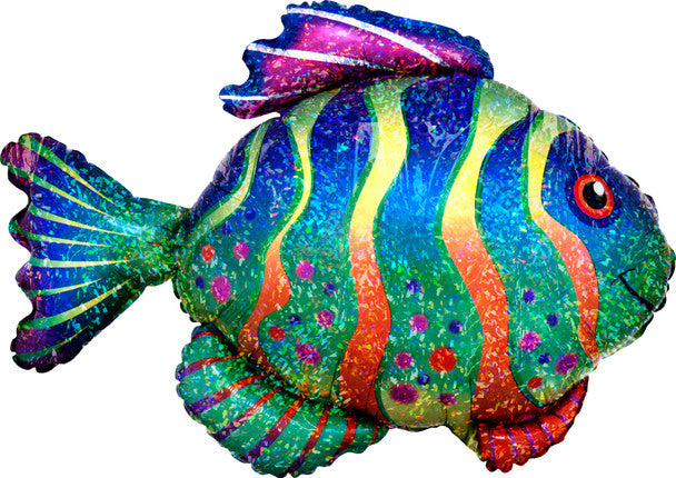 33"A Colorful Fish