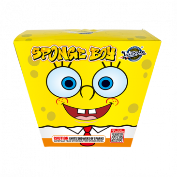 Sponge Boy