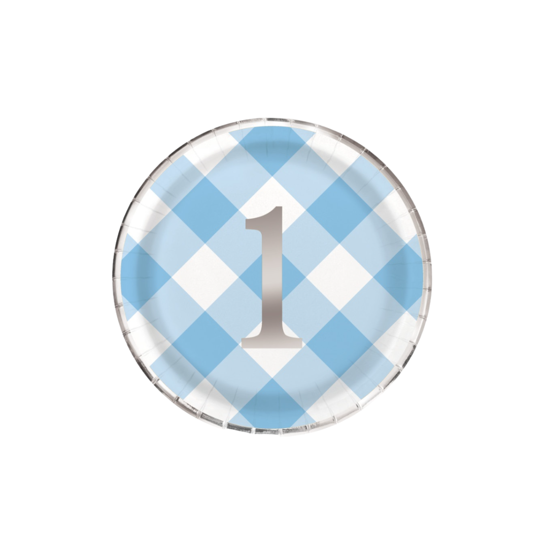 Blue Gingham 1st Birthday Round 9" Dinner Plates