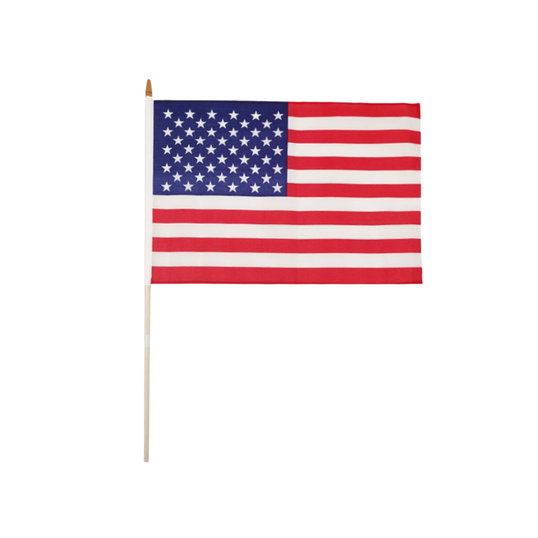 USA Hand Flag