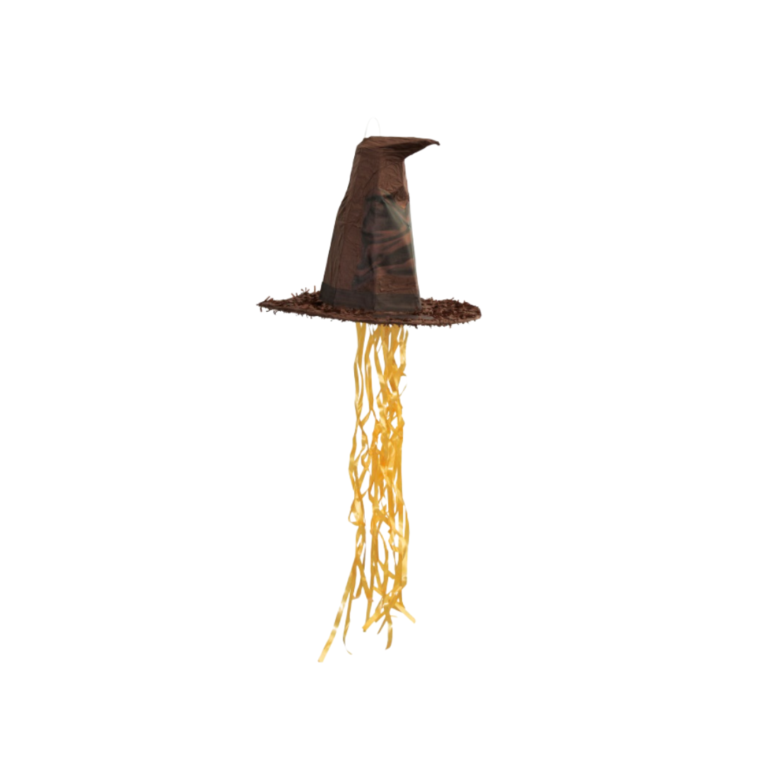 Harry Potter 3D Pull Pinata