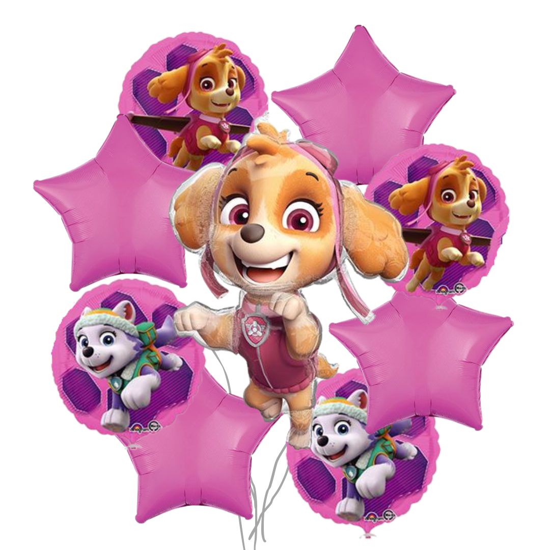 Paw Patrol/Skye
