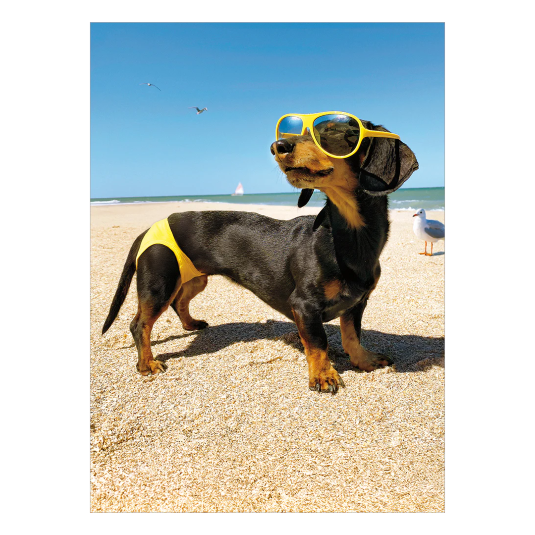 Dog In Bathing Suit Card