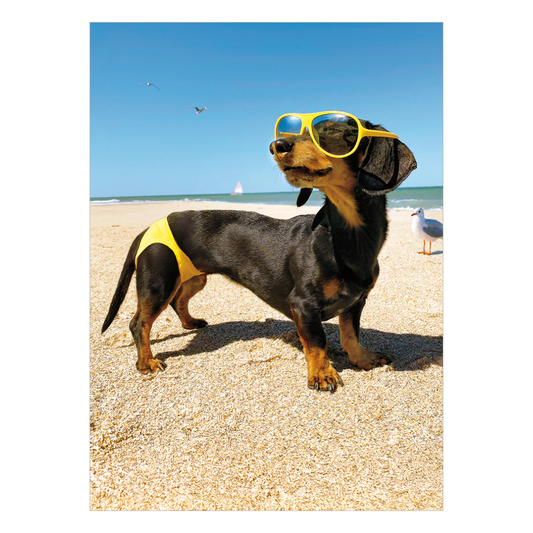 Dog In Bathing Suit Card