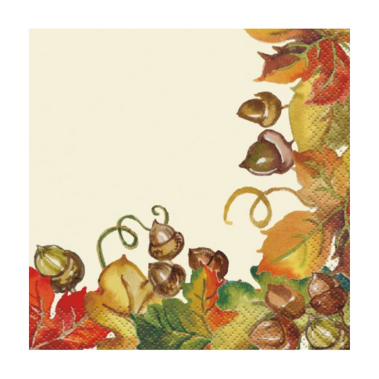 Harvest Pumpkins Beverage Napkins 24ct