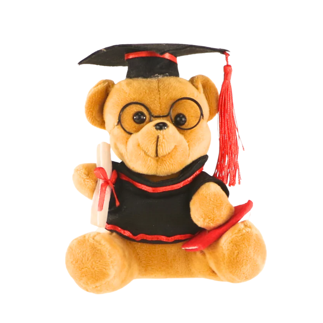 Graduation Teddy Bear