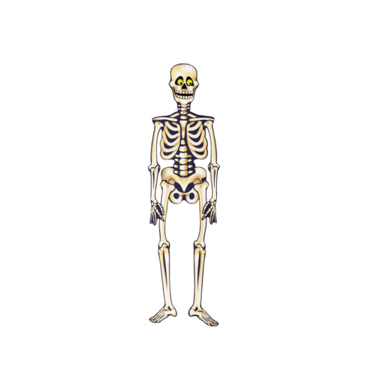 Halloween Jointed Skeleton
