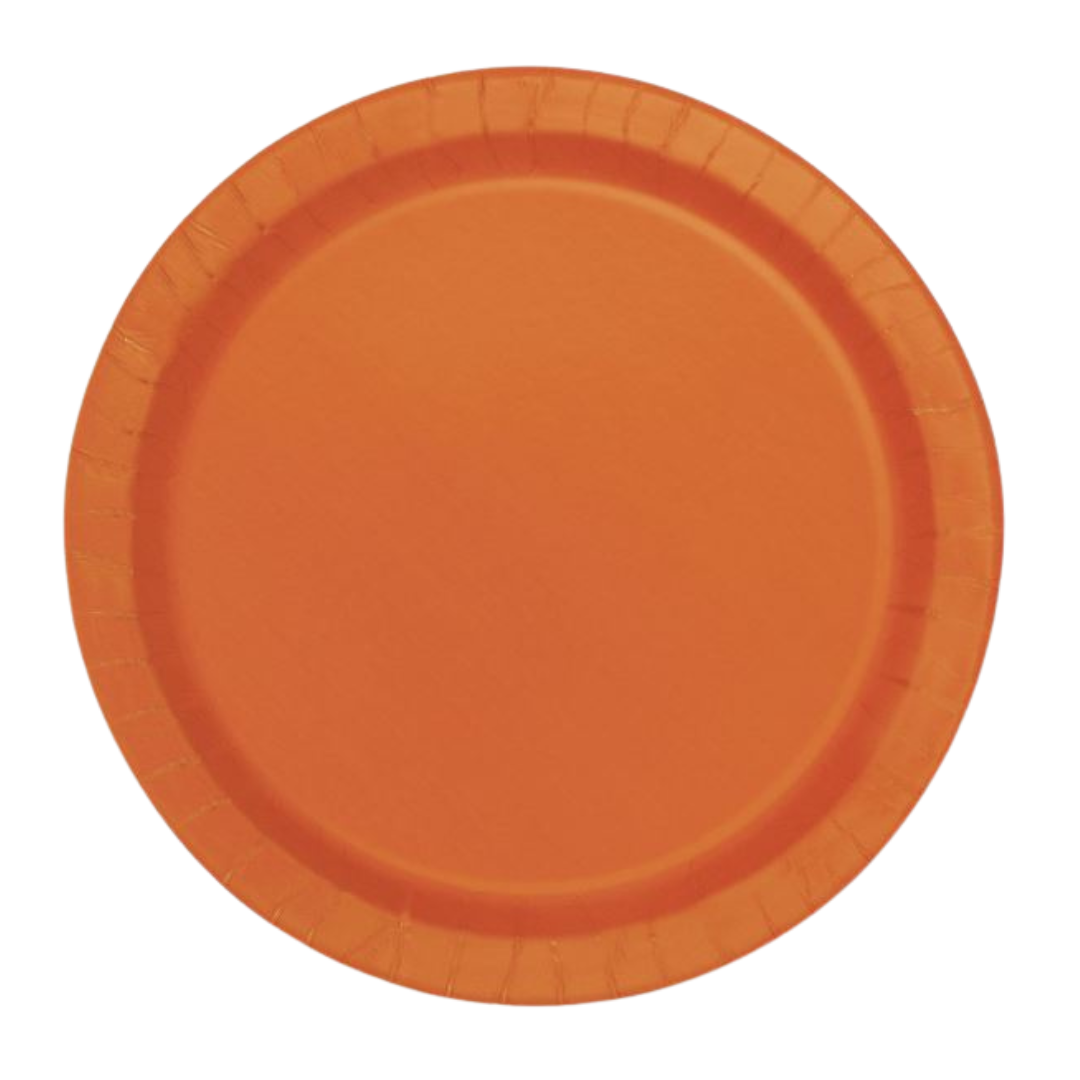 9" Paper Plates
