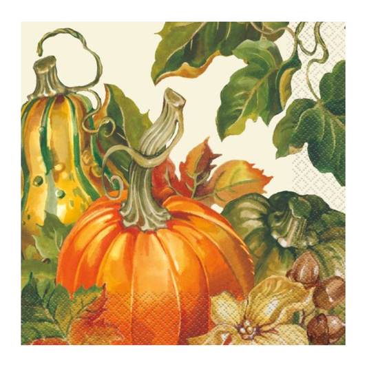 Harvest Pumpkins Luncheon Napkins 20ct
