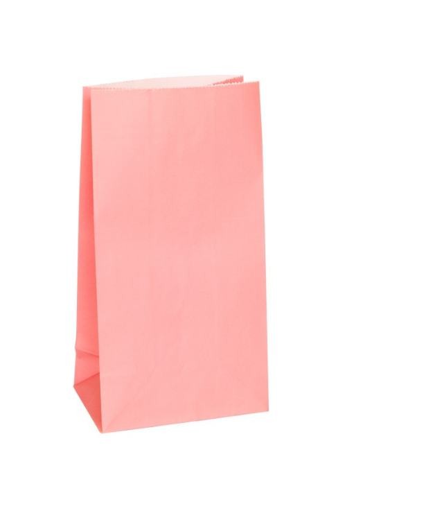 Pastel Pink Paper Party Bags 12ct