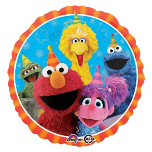 18" Sesame Street Fun