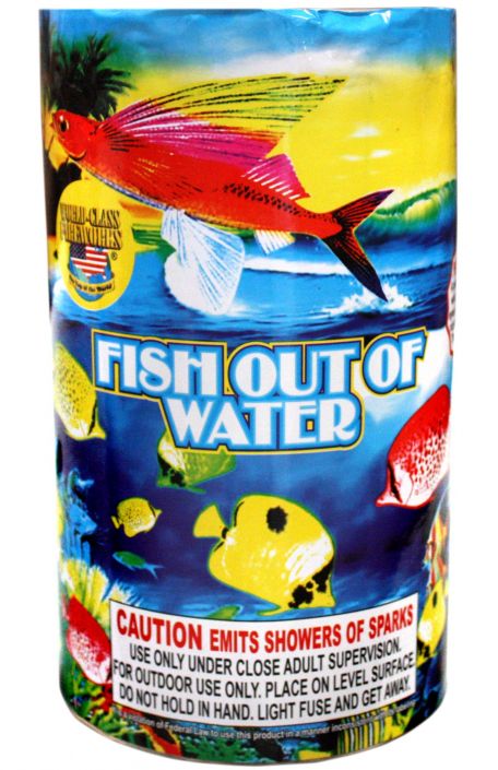 Fish Out Of Water