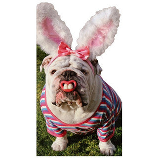 Easter Funny Dog
