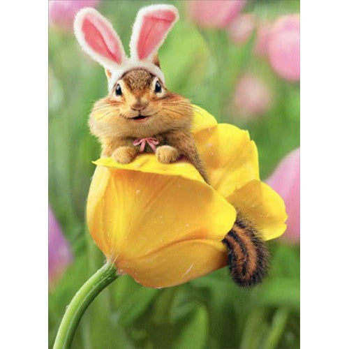Easter Chipmunk