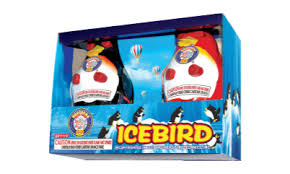 Icebird