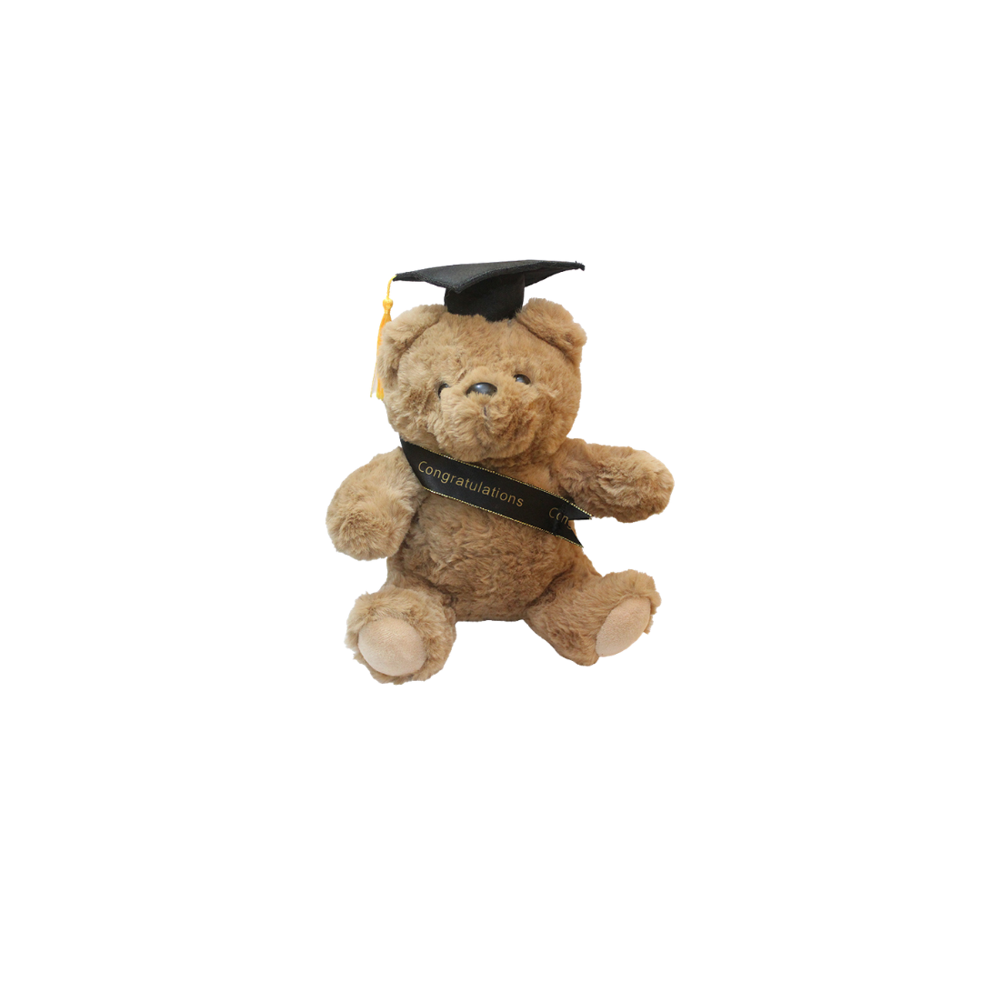 Congratulations Grad Teddy