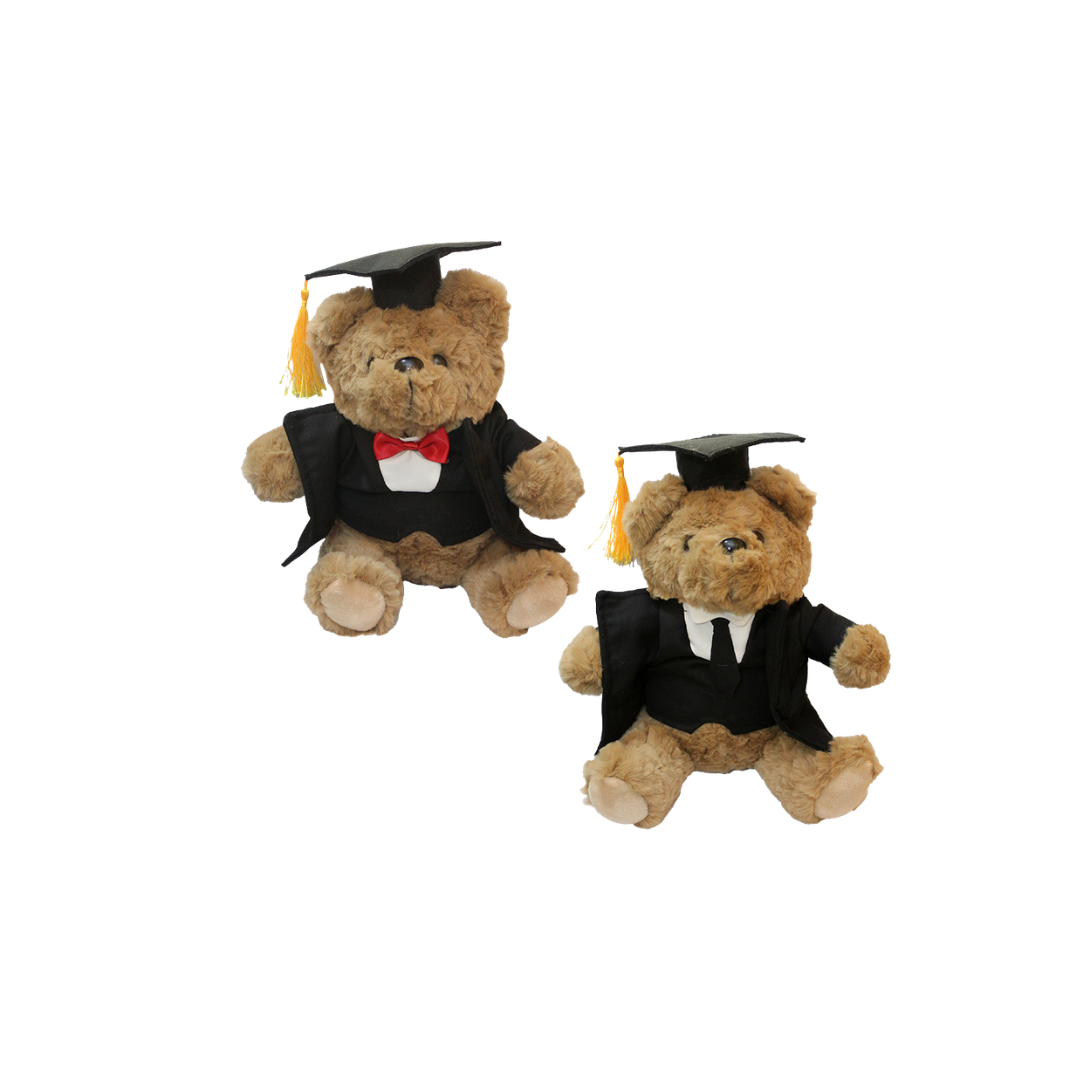 Big Grad Teddy