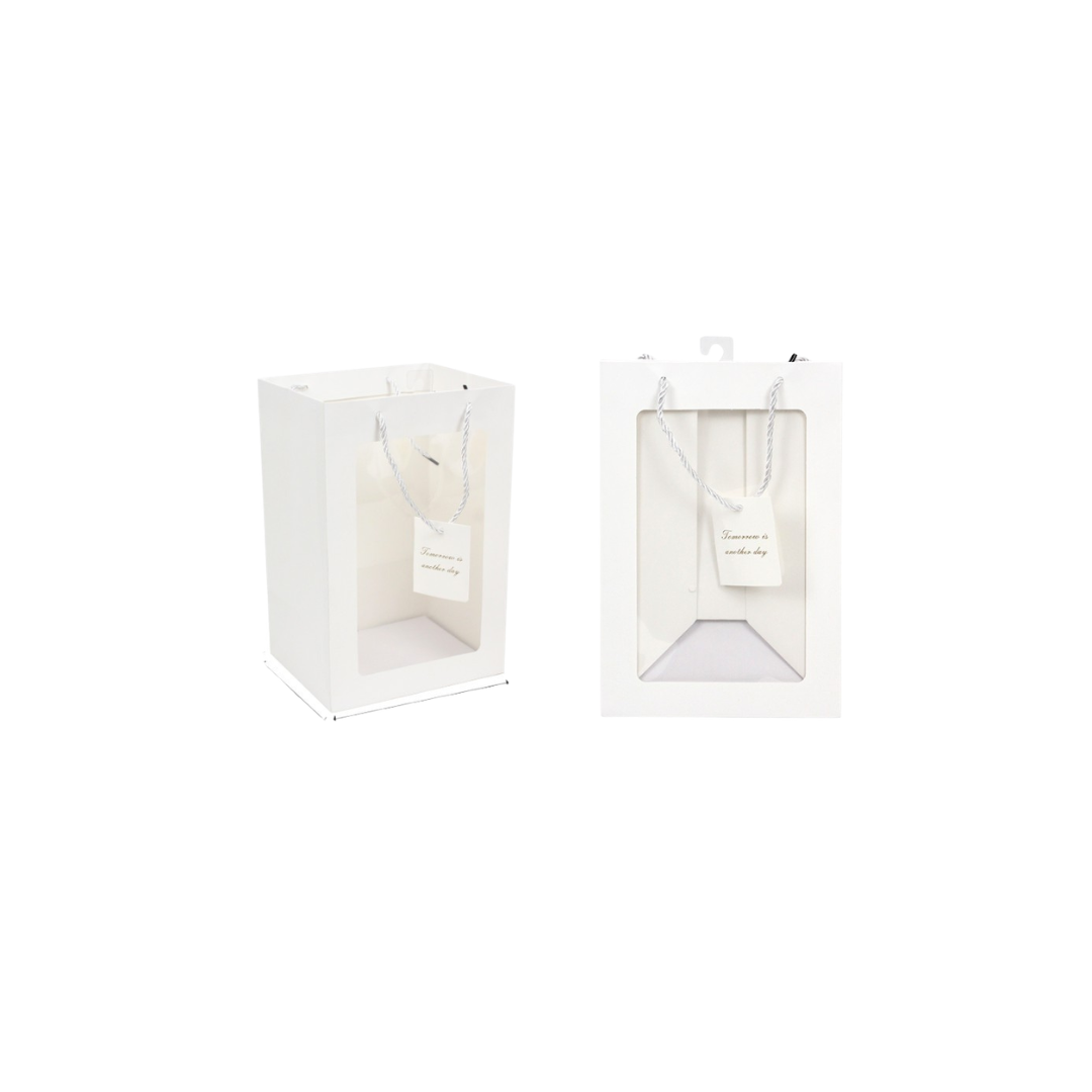 8"X12"X6.5" WHITE OPEN WINDOW GIFT BAG